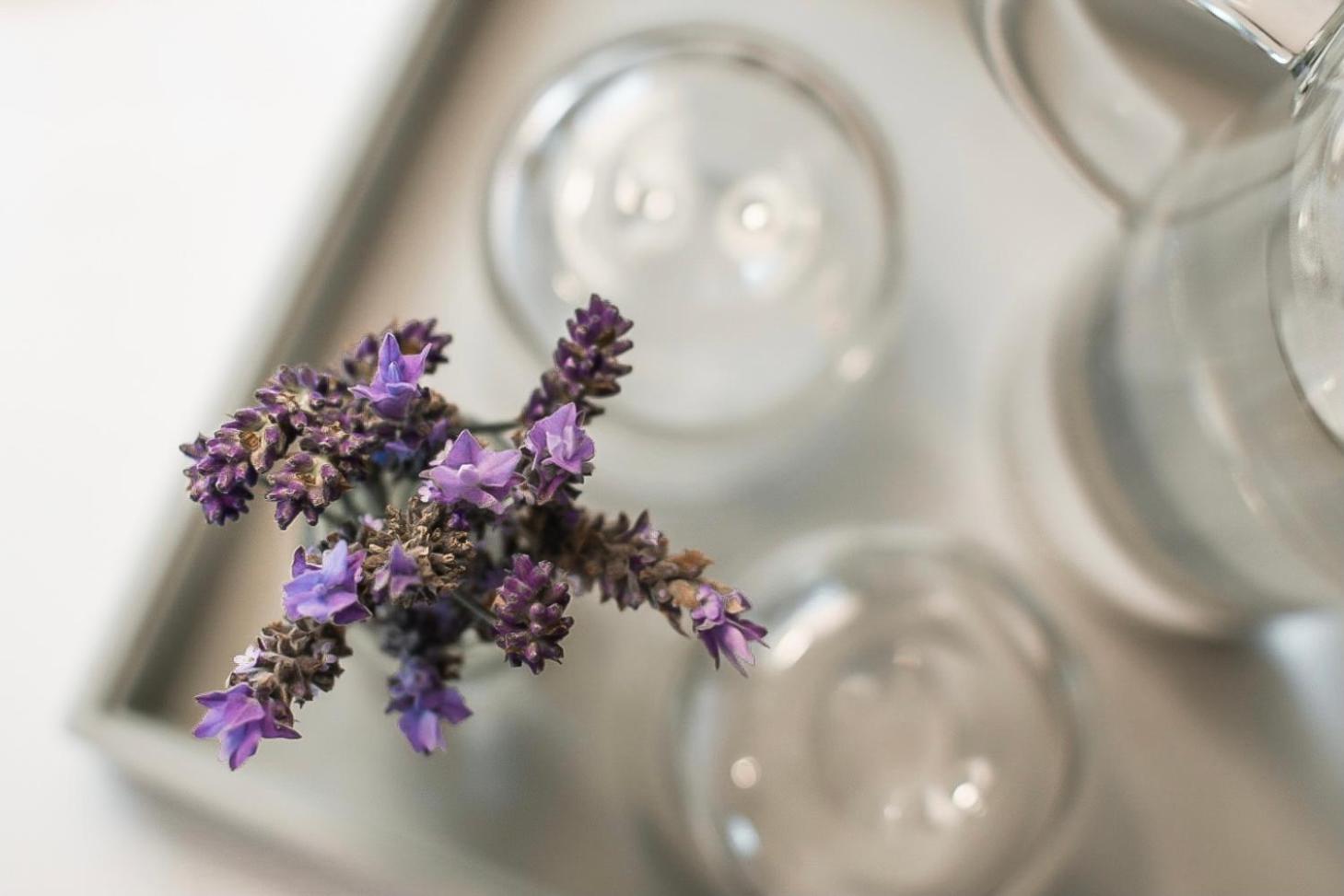 The Vicarage Boutique Bed And Breakfast Oamaru Oda fotoğraf
